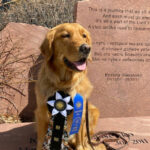 Keena's First Obedience Title Blog