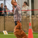 Keena's First Obedience Title Blog