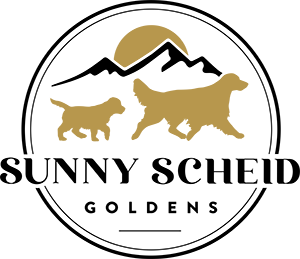 Sunny Scheid Goldens Logo