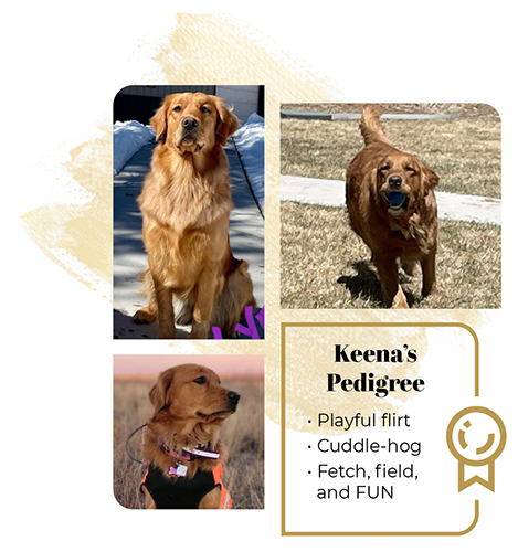 Keena Collage
